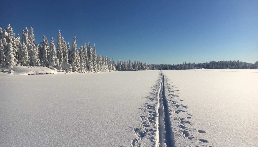 skidor