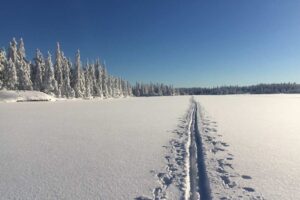 skidor